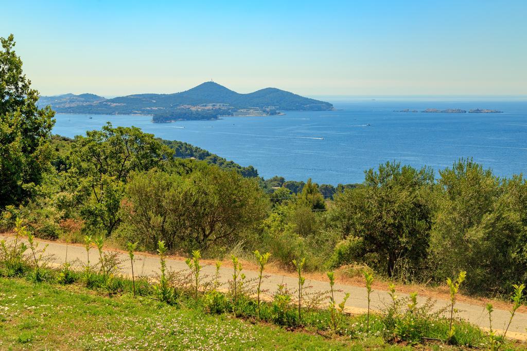 Hedera Estate, Villa Hedera VII Zaton  Εξωτερικό φωτογραφία