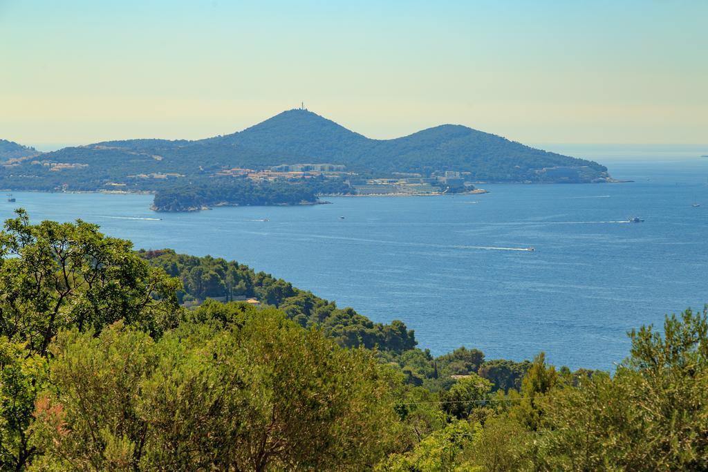Hedera Estate, Villa Hedera VII Zaton  Εξωτερικό φωτογραφία